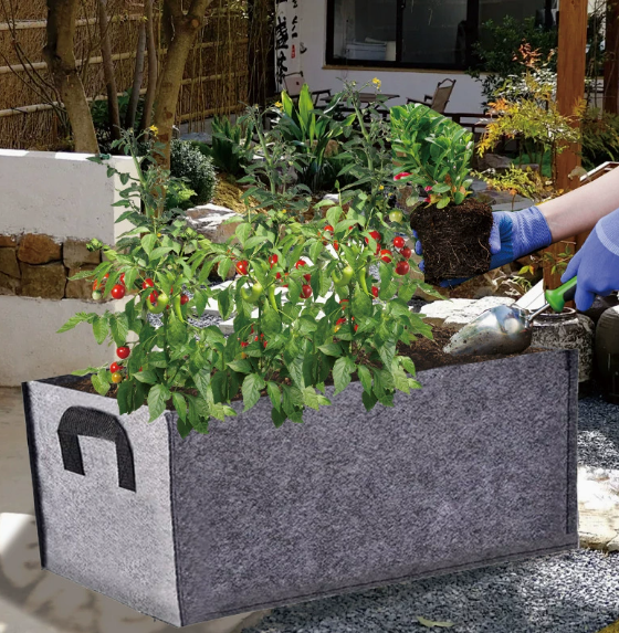 💥Flash Sale-49% OFF-Vegetable Nursery Box Courtyard Grow Bag🍅