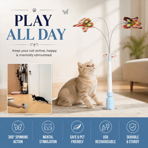 Spinning Butterfly Cat Wand Interactive Cat Teaser Toy