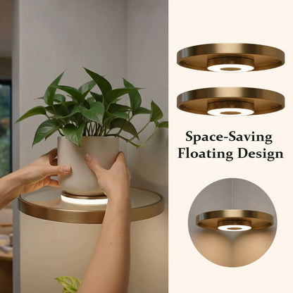 🌟Floating Wall Shelf with Built-in Ambient LED Light&USB Charging🌲
