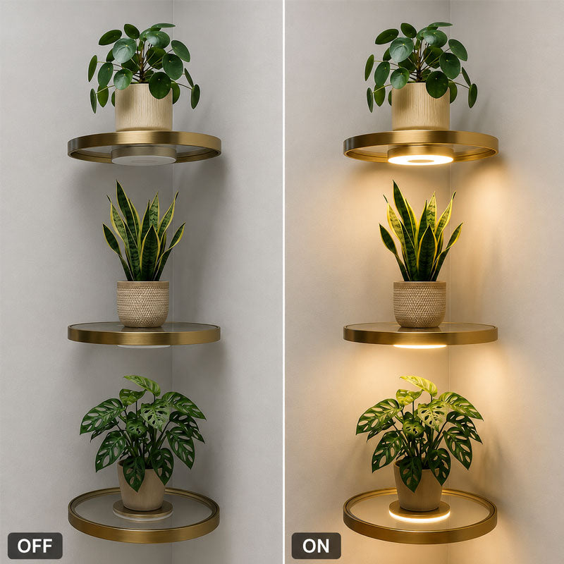 🌟Floating Wall Shelf with Built-in Ambient LED Light&USB Charging🌲