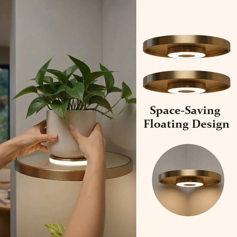 LED Floating Display Shelf – Warm Ambient Wall Light & Plant Stand