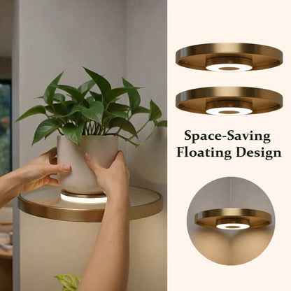 LED Floating Display Shelf – Warm Ambient Wall Light & Plant Stand