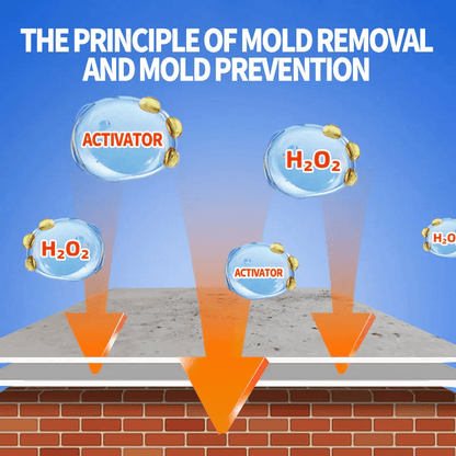 🔥Buy 2 Get 1 Free✨Highly Effective Mould Removal Spray - Prevents Mould Regrowth