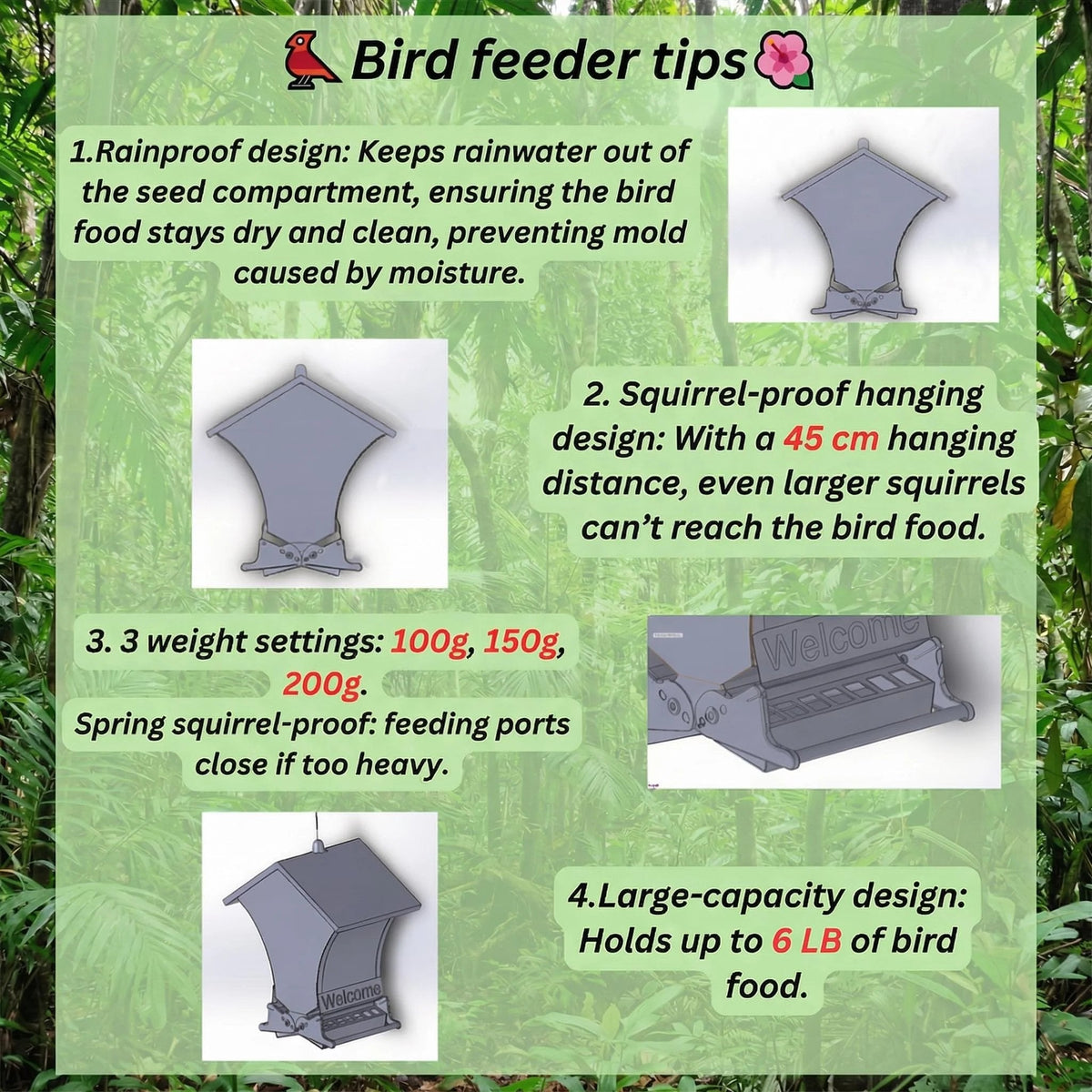 🐦 Squirrel Proof Bird Feeder – Outdoor Bird House for Garden Bird Watching & Yard Decoration