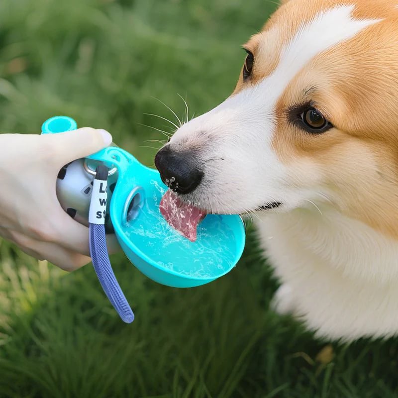 🎁HOT DEAL – Up to 49% OFF🔥2-in-1 Portable Dog Water Bottle - Leak-Proof & Compact