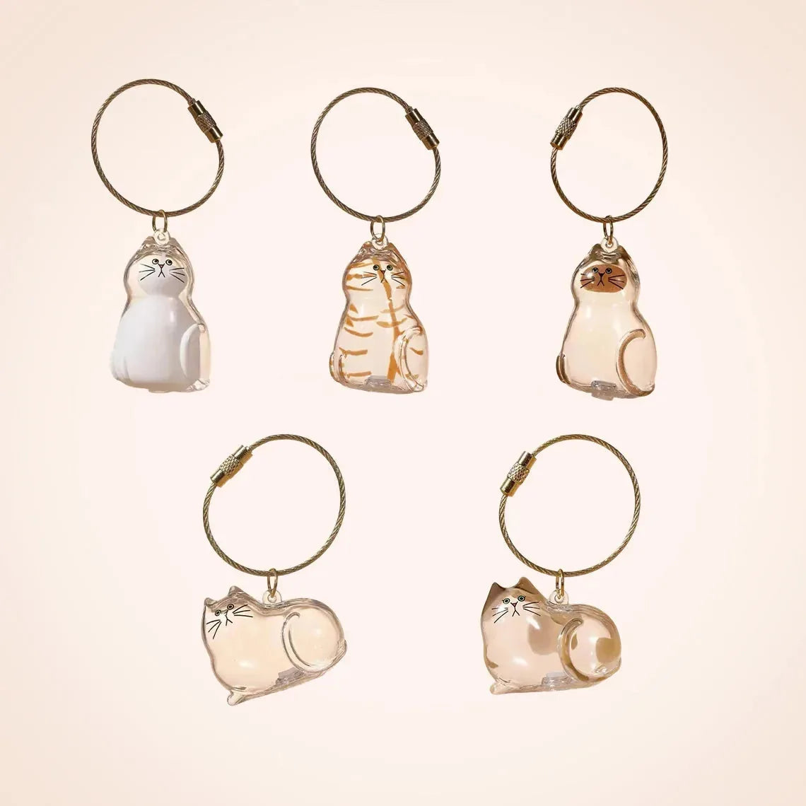 Pet Hair Keepsake Capsule Keychain for Cat & Dog Lovers -5Pcs