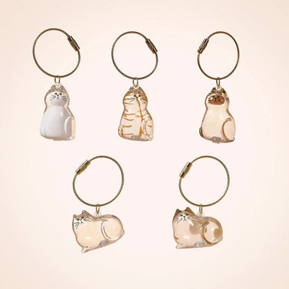 Pet Hair Keepsake Capsule Keychain for Cat & Dog Lovers -5Pcs