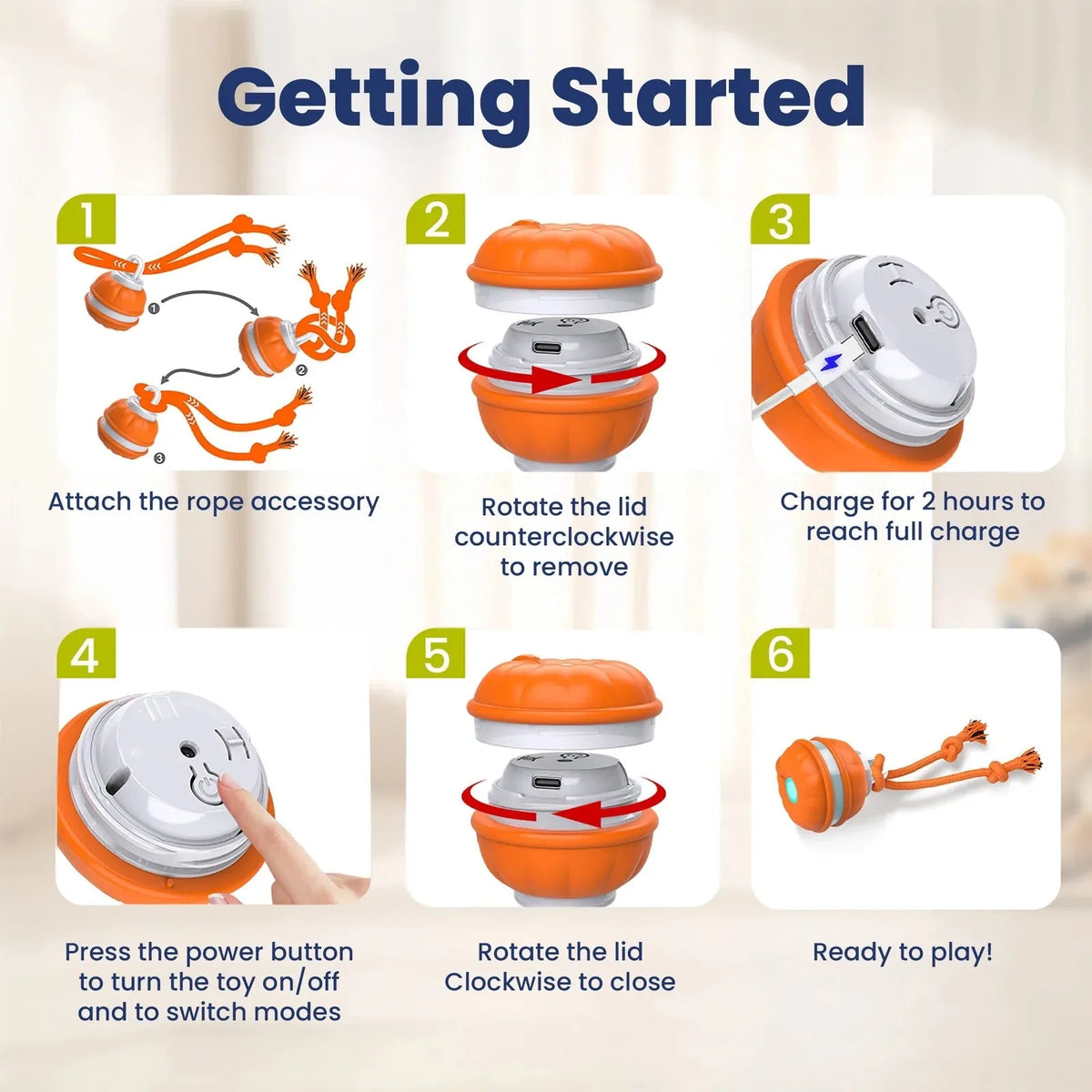 Rope Runner Interactive Squeaky Rechargeable Small Dog Ball & Rope Toy