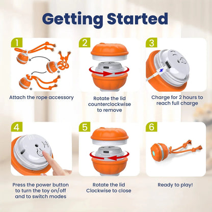 Rope Runner Interactive Squeaky Rechargeable Small Dog Ball & Rope Toy