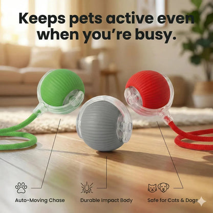 The Ultimate Auto-Moving Chase Ball for Cats & Dogs 2 Pack