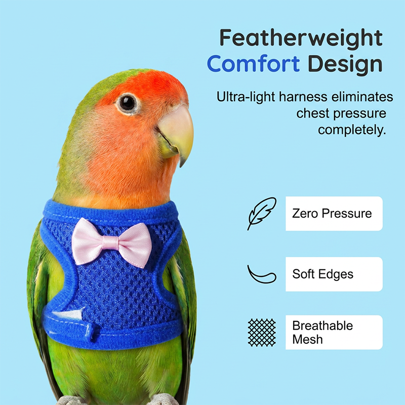 🔥⏰Buy 1 Get 1 Free⏳🔥Parrot Flight Harness with Leash