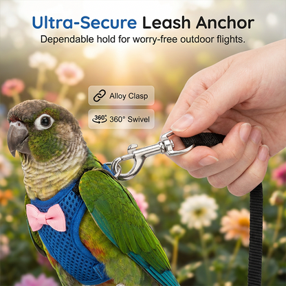 🔥⏰Buy 1 Get 1 Free⏳🔥Parrot Flight Harness with Leash