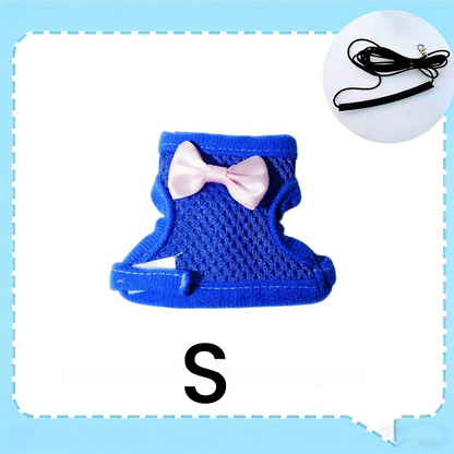 🔥⏰Buy 1 Get 1 Free⏳🔥Parrot Flight Harness with Leash