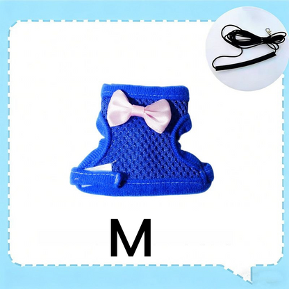 🔥⏰Buy 1 Get 1 Free⏳🔥Parrot Flight Harness with Leash