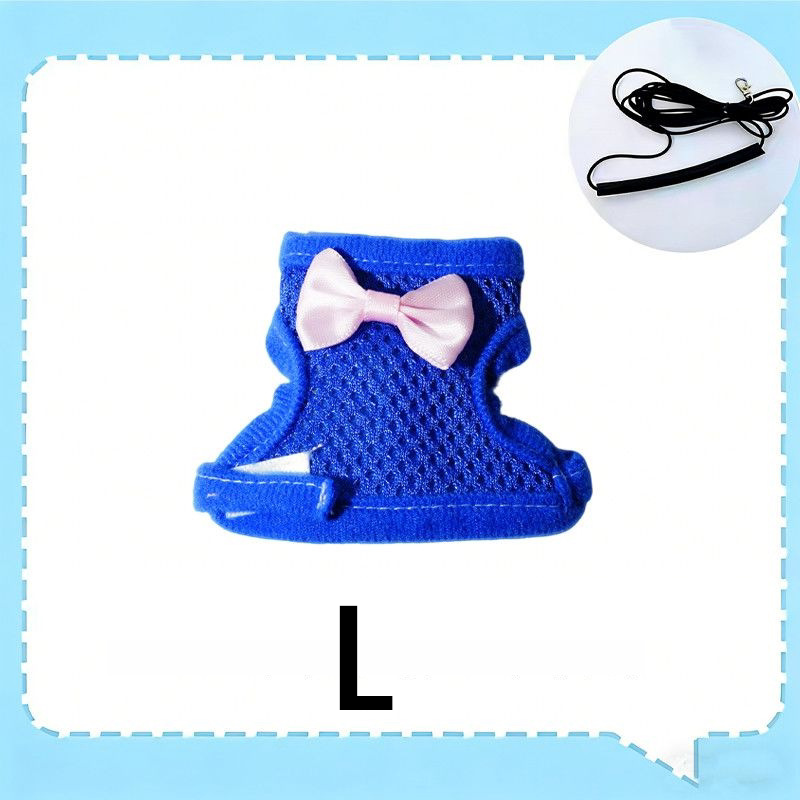 🔥⏰Buy 1 Get 1 Free⏳🔥Parrot Flight Harness with Leash