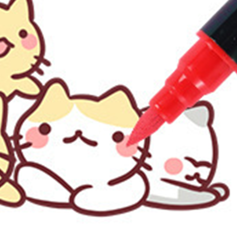 Quick Dry Dual Tip Acrylic Marker Set