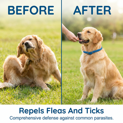 🎉 FLASH DEAL 45% OFF🐶🐱 – Plant-Based Flea & Tick Collar 🌿 Up to 8 Months Protection, Slow-Release Oils, Water-Resistant 💦 Repels Mosquitoes & Larvae, Comfortable & Safe for Daily Wear 🐕