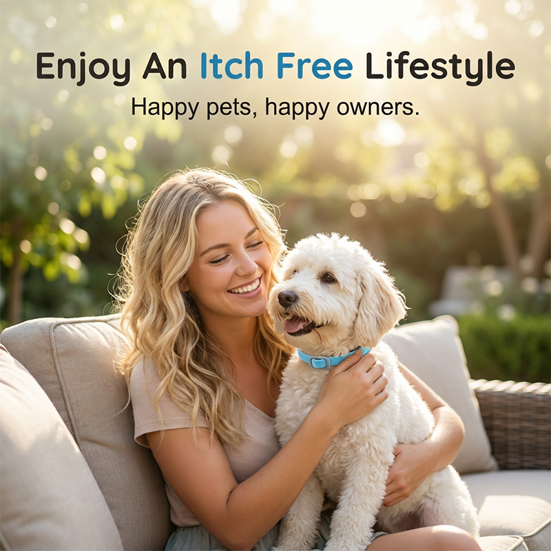 🎉 FLASH DEAL 45% OFF🐶🐱 – Plant-Based Flea & Tick Collar 🌿 Up to 8 Months Protection, Slow-Release Oils, Water-Resistant 💦 Repels Mosquitoes & Larvae, Comfortable & Safe for Daily Wear 🐕