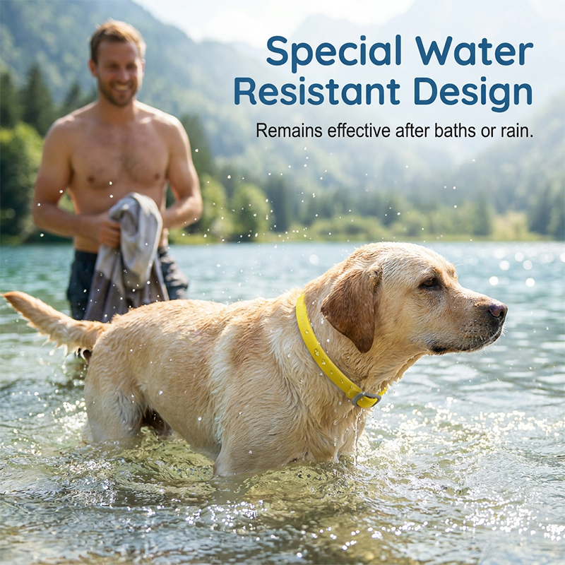 🎉 FLASH DEAL 45% OFF🐶🐱 – Plant-Based Flea & Tick Collar 🌿 Up to 8 Months Protection, Slow-Release Oils, Water-Resistant 💦 Repels Mosquitoes & Larvae, Comfortable & Safe for Daily Wear 🐕