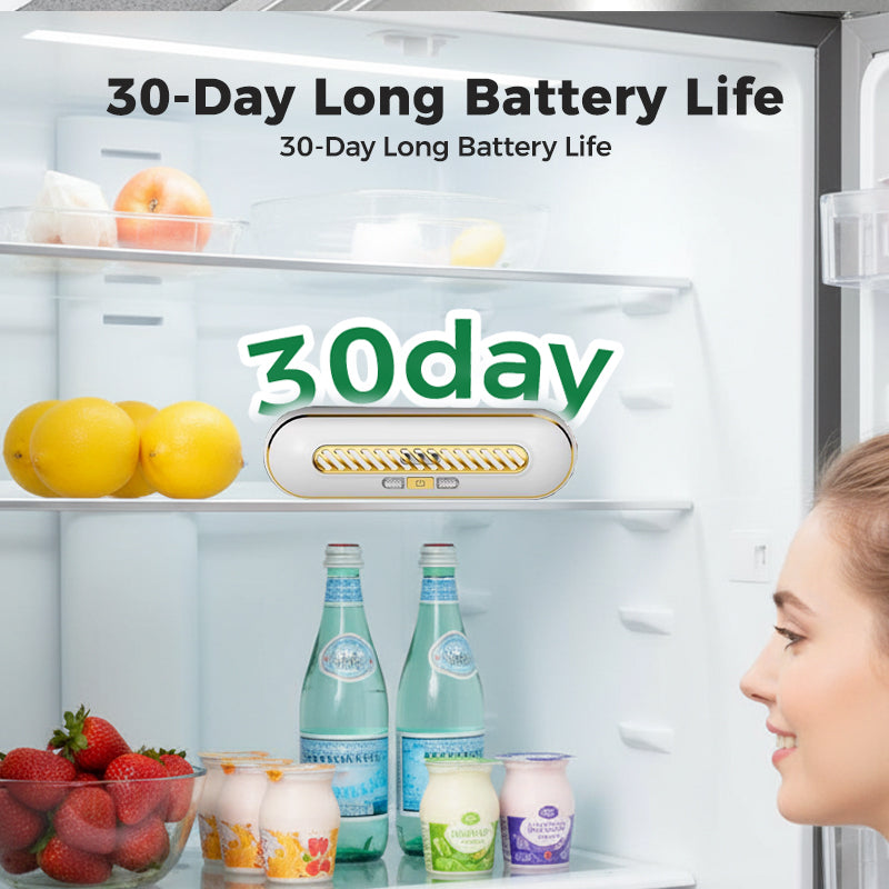 Rechargeable Portable Fridge Sterilizer