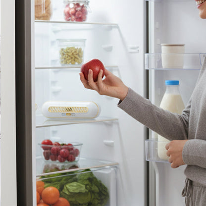 Rechargeable Portable Fridge Sterilizer