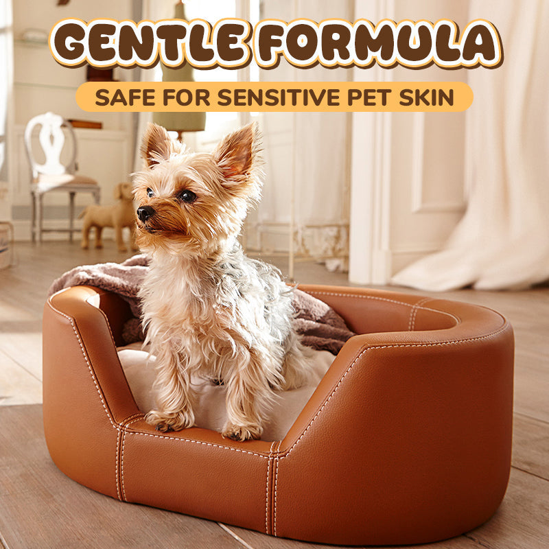 🔥Hot Sale 57% OFF🔥 Non-Toxic Pet Hair Color Dye – Temporary, Washable, 12 Colors, for Dogs & Cats 🐶