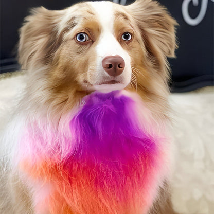 🔥Hot Sale 57% OFF🔥 Non-Toxic Pet Hair Color Dye – Temporary, Washable, 12 Colors, for Dogs & Cats 🐶