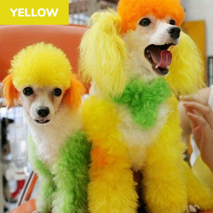 🔥Hot Sale 57% OFF🔥 Non-Toxic Pet Hair Color Dye – Temporary, Washable, 12 Colors, for Dogs & Cats 🐶