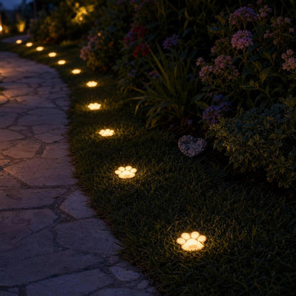 Solar Paw Lights